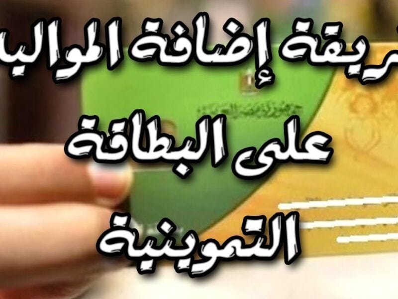 تسجيل المواليد الجدد دعم مصر 2021 رابط tamwin لإضافة الهاتف